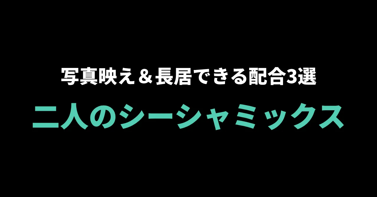 デートで吸いたい、シーシャの二人ミックスレシピ｜写真映え＆長居できる配合3選